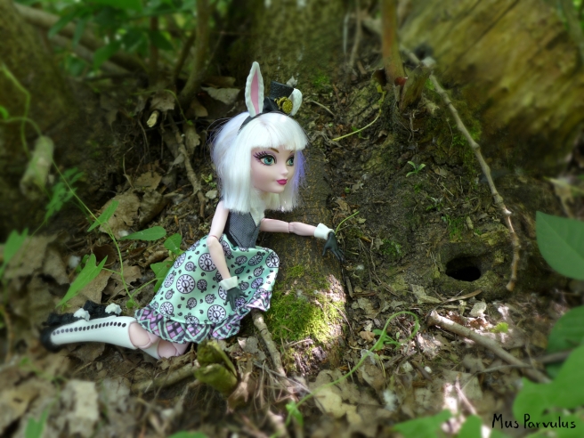 Bunny Blanc & the rabbit hole.jpg